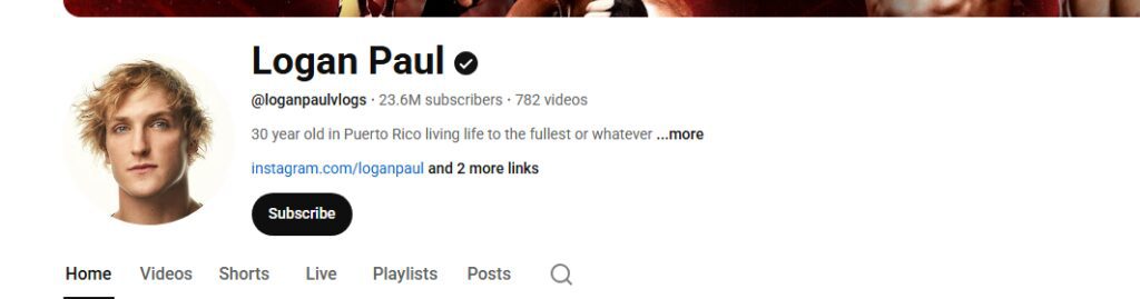 9 Famous YouTubers Who Lost Everything in the 2026 Liquidity Crunch 5 Logan Paul