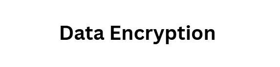 10 Essential Cybersecurity Solutions Every Small Business Needs 5 Data Encryption