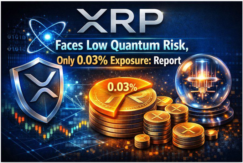 XRP Faces Low Quantum Risk, Only 0.03% Exposure: Report