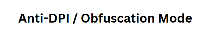  Anti-DPI / Obfuscation Mode