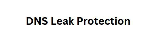 DNS Leak Protection