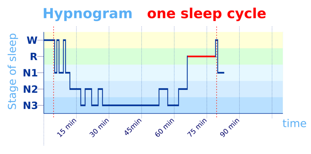 10 Best Health Tracking Apps With Smart AI Features in 2026 11 Sleep Cycle