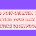 Top 10 Post-Quantum VPNs: Protecting Your Data from Future Decryption