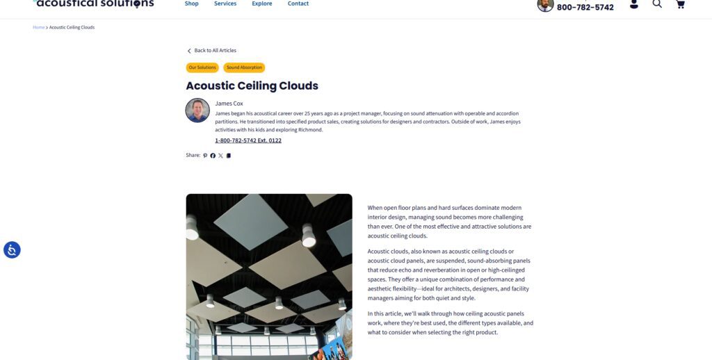 Ceiling Cloud Panels