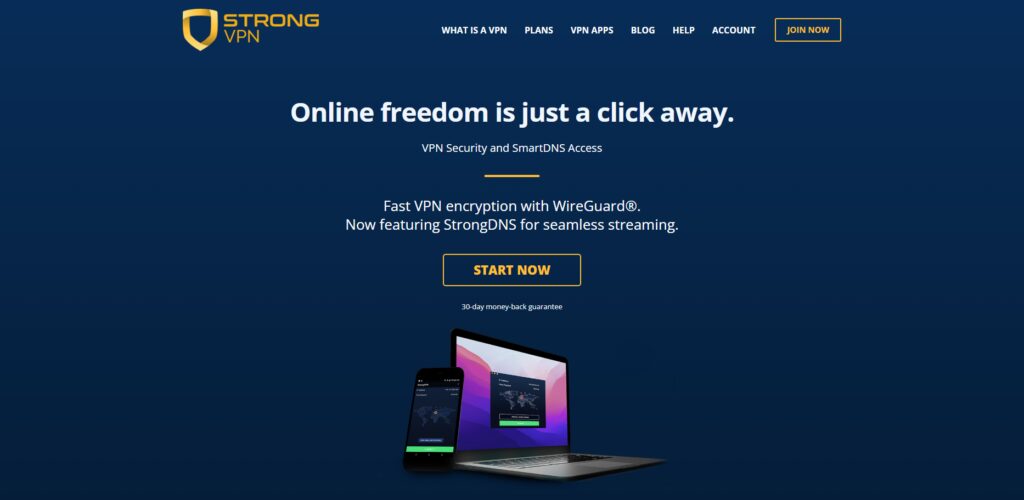10 Best Secure Router VPNs to Protect Home-Office Financial Networks 10 StrongVPN