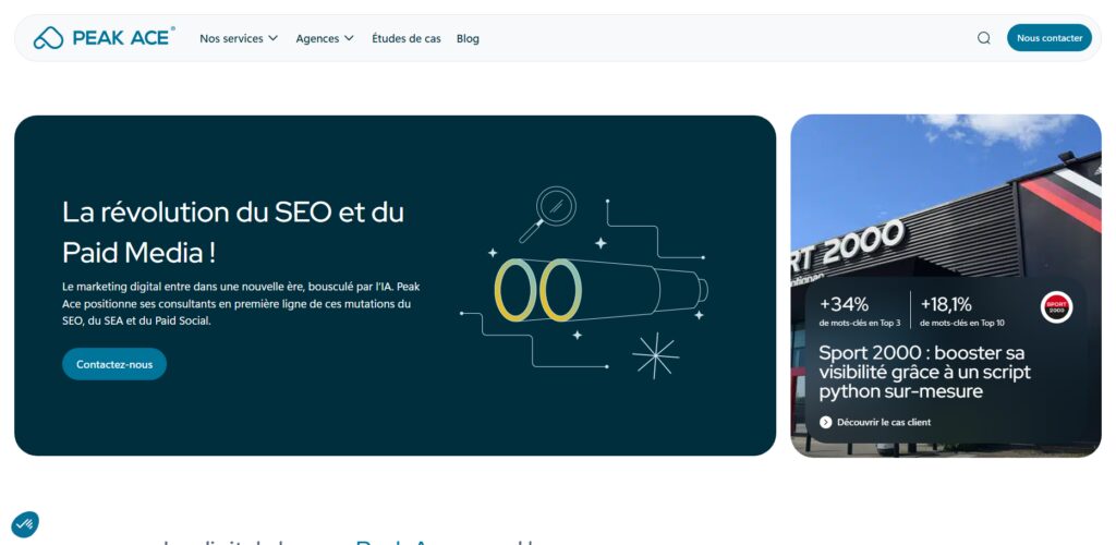 10 Top French AEO Agencies for Multimodal Chatbot SEO 11 Peak Ace France