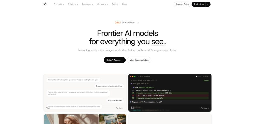 11 Top Silicon Valley Custom LLM Developers Scaling OpenAI Frameworks 11 xAI