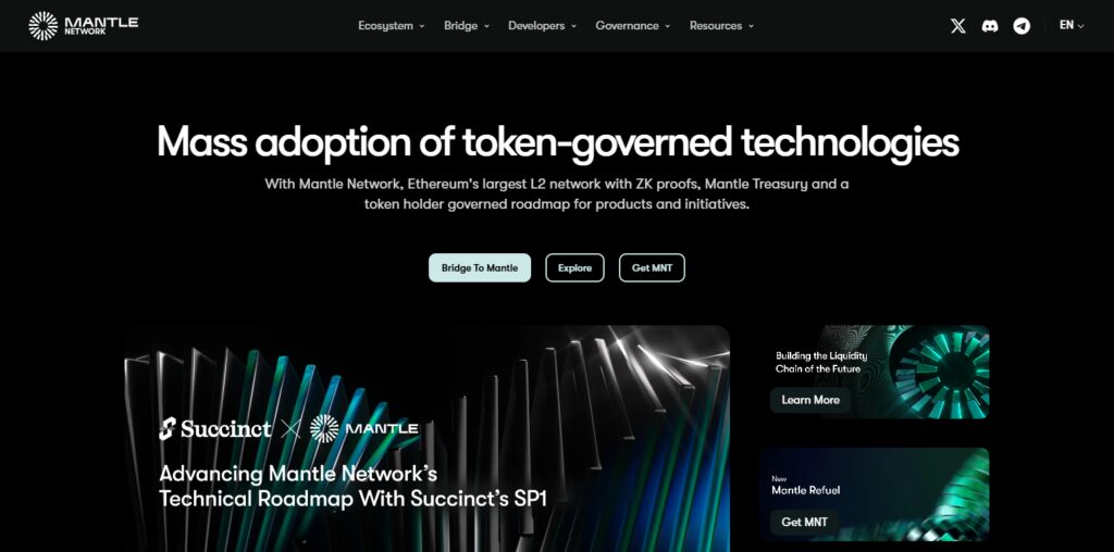 Mantle Network