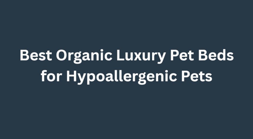 10 Best Organic Luxury Pet Beds for Hypoallergenic Pets