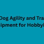 10 Best Dog Agility and Training Equipment for Hobbyists