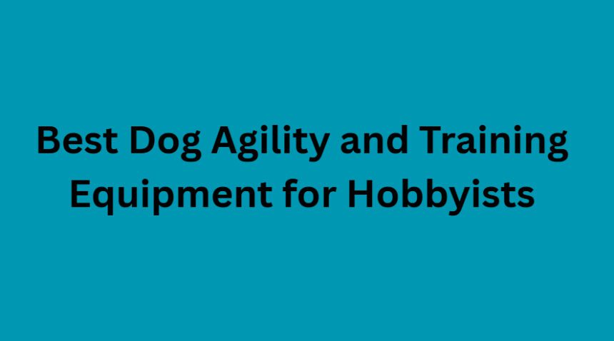 10 Best Dog Agility and Training Equipment for Hobbyists