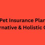 10 Best Pet Insurance Plans for Alternative & Holistic Care