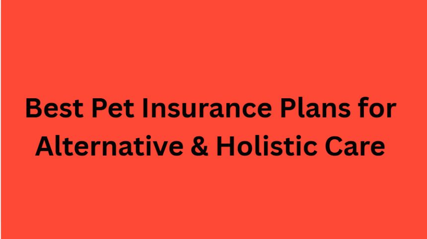 10 Best Pet Insurance Plans for Alternative & Holistic Care