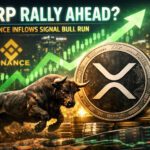 XRP Rally Ahead? Binance Inflows Signal Bull Run